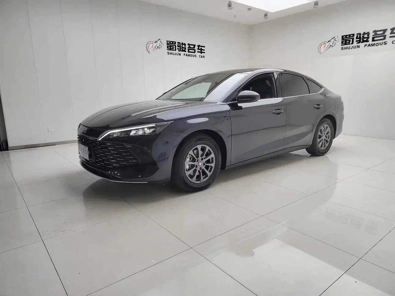 BYD Qin L DM