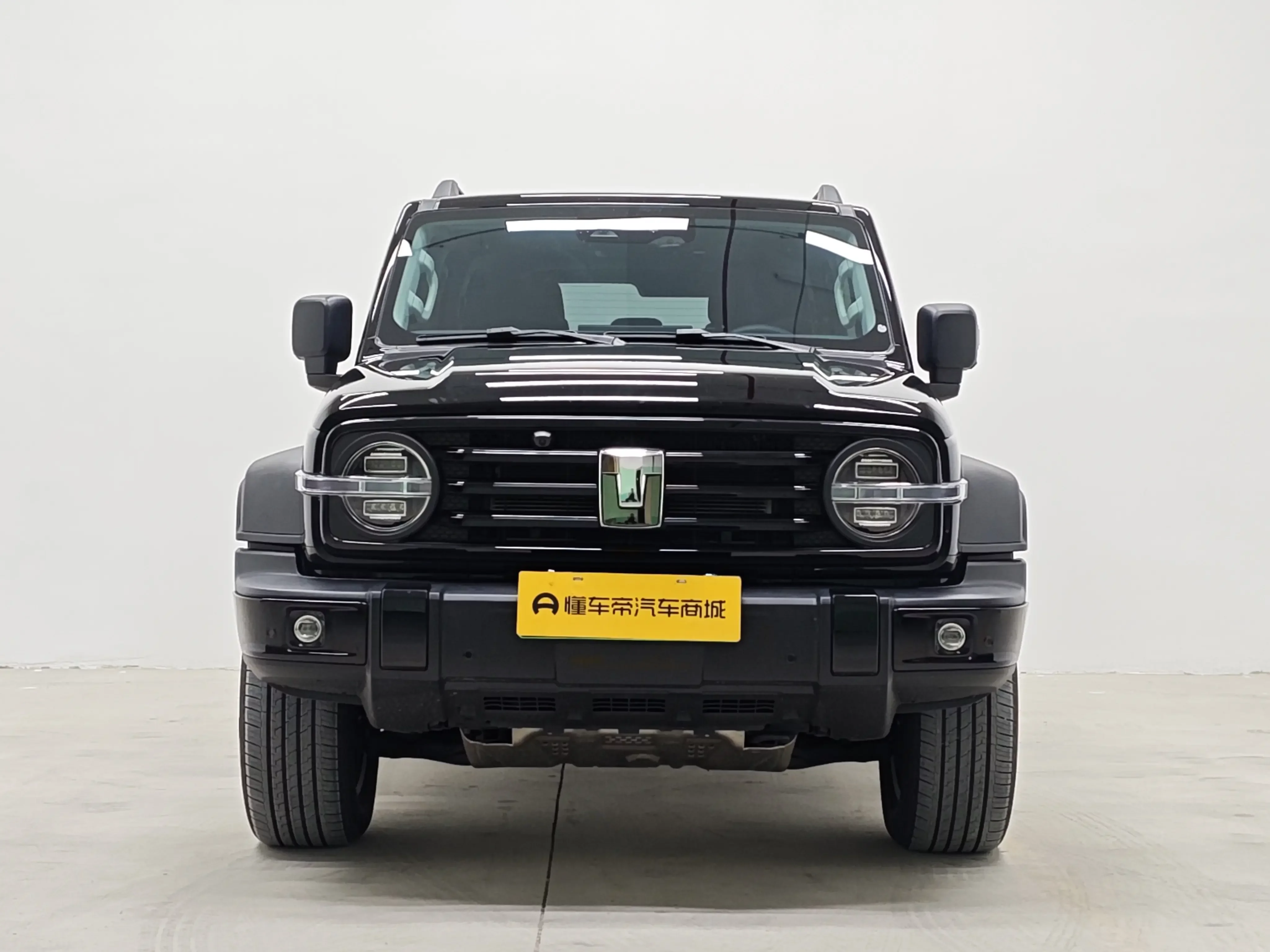 Tank 300 Hi4-T