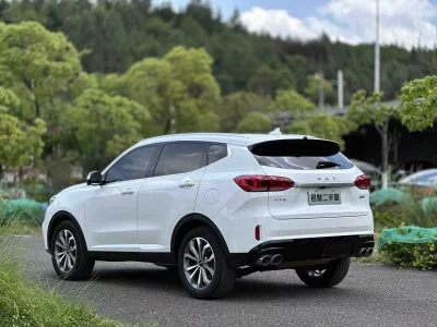 Wey Wei brand VV6