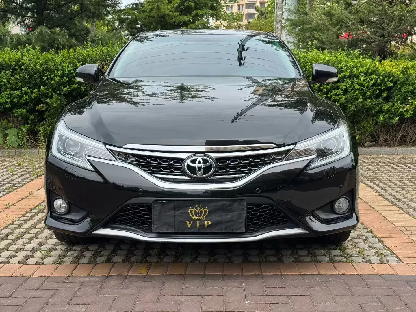 Toyota Ruizhi