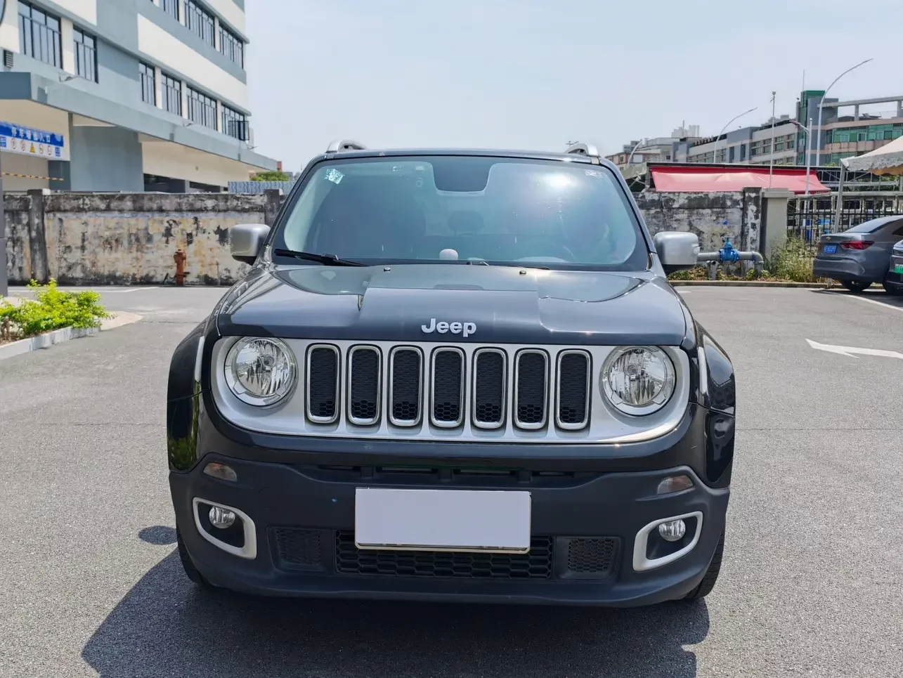 Jeep Freeman
