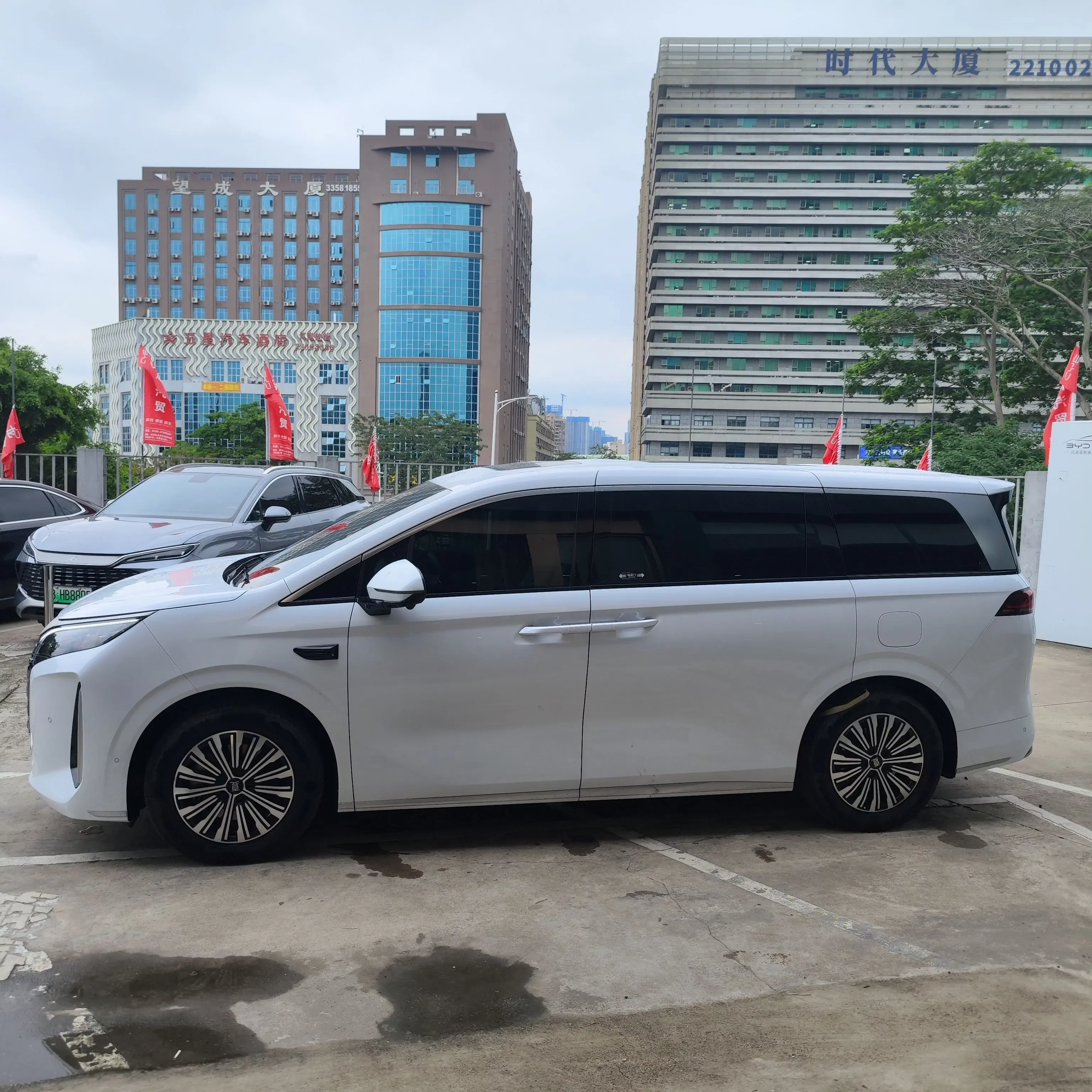 BYD summer