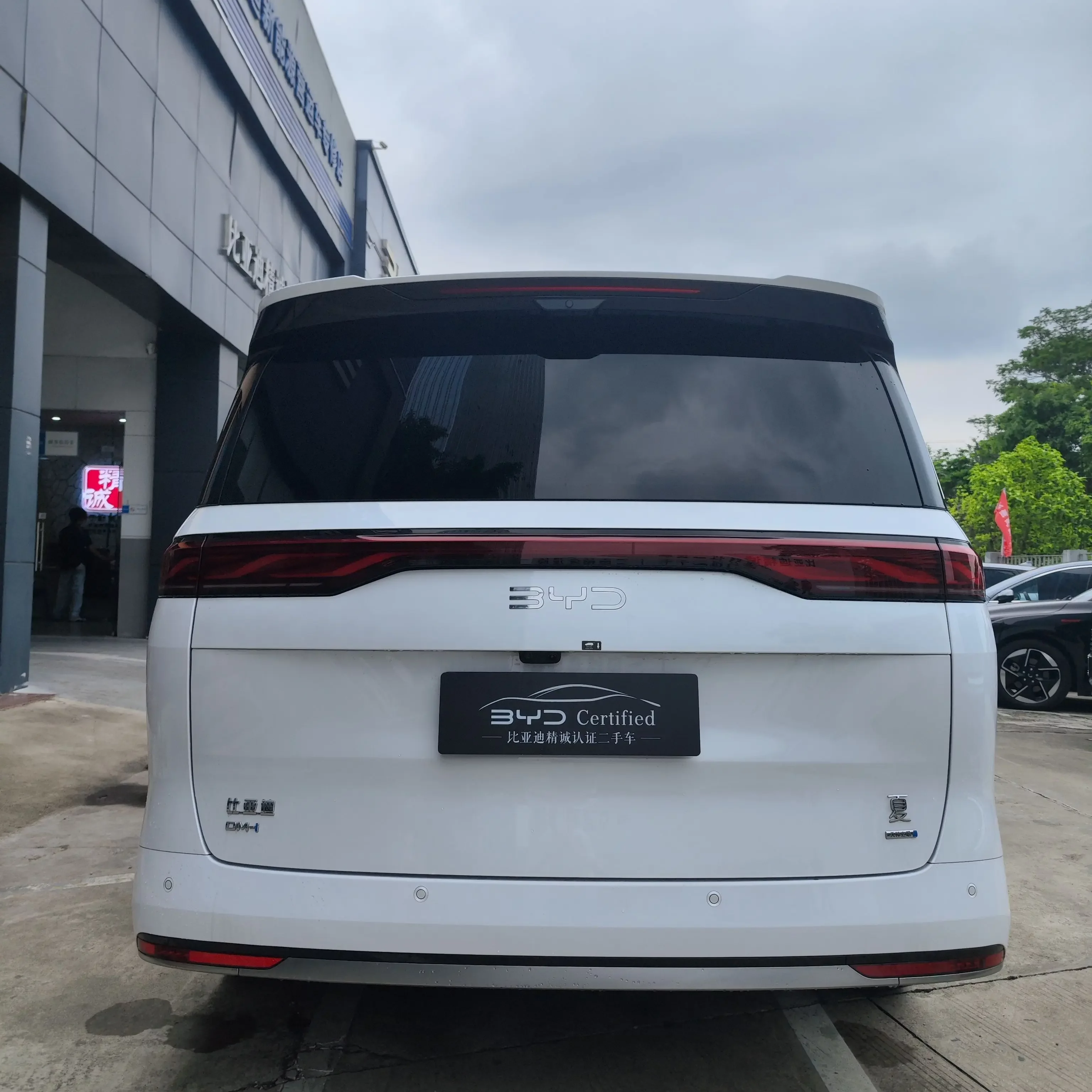 BYD summer