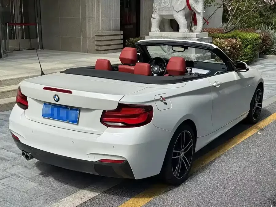 BMW 2 Series