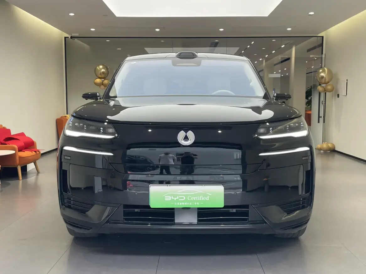 Denza Tengzhong N9 DM