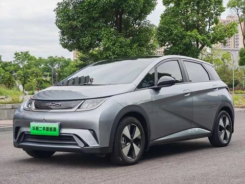 BYD dolphin