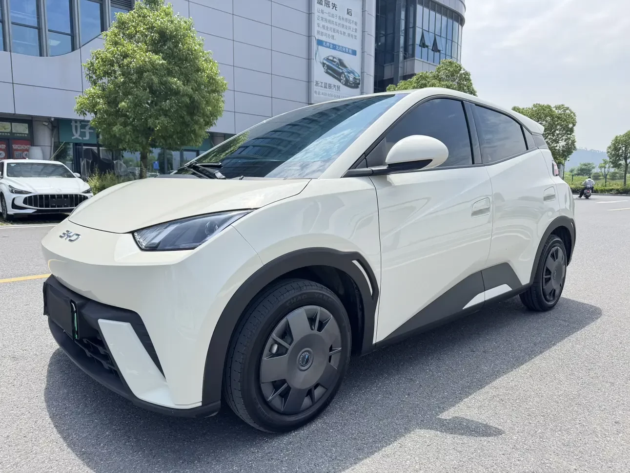 BYD seagull