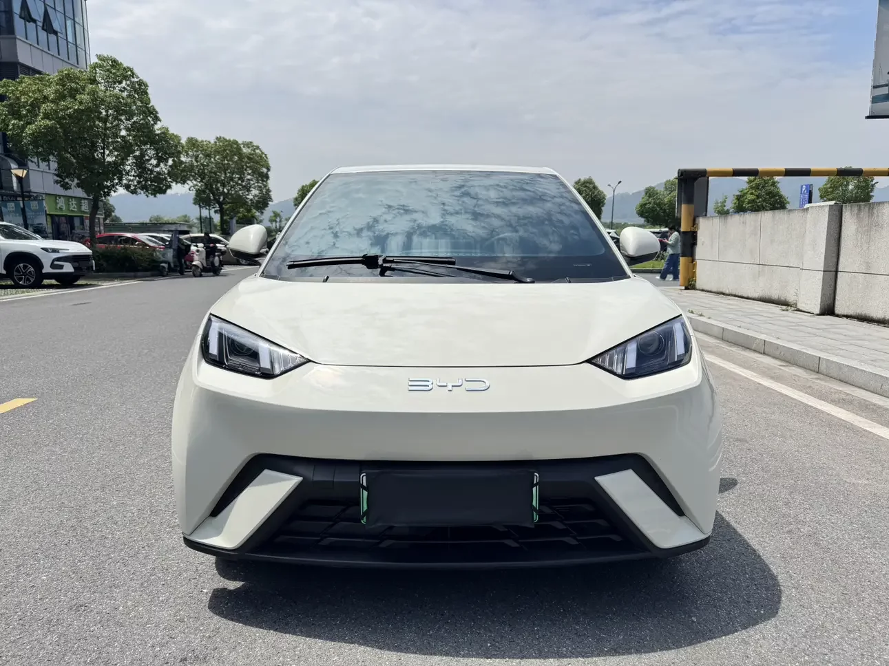 BYD seagull