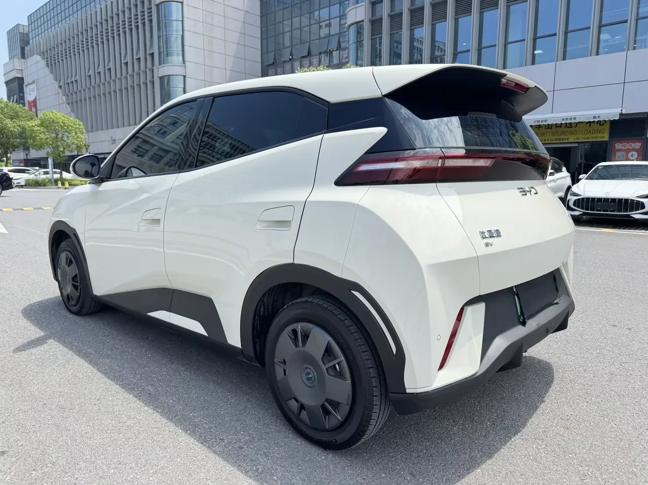 BYD seagull