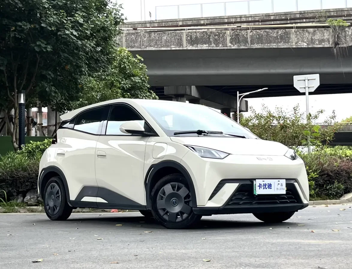 BYD seagull