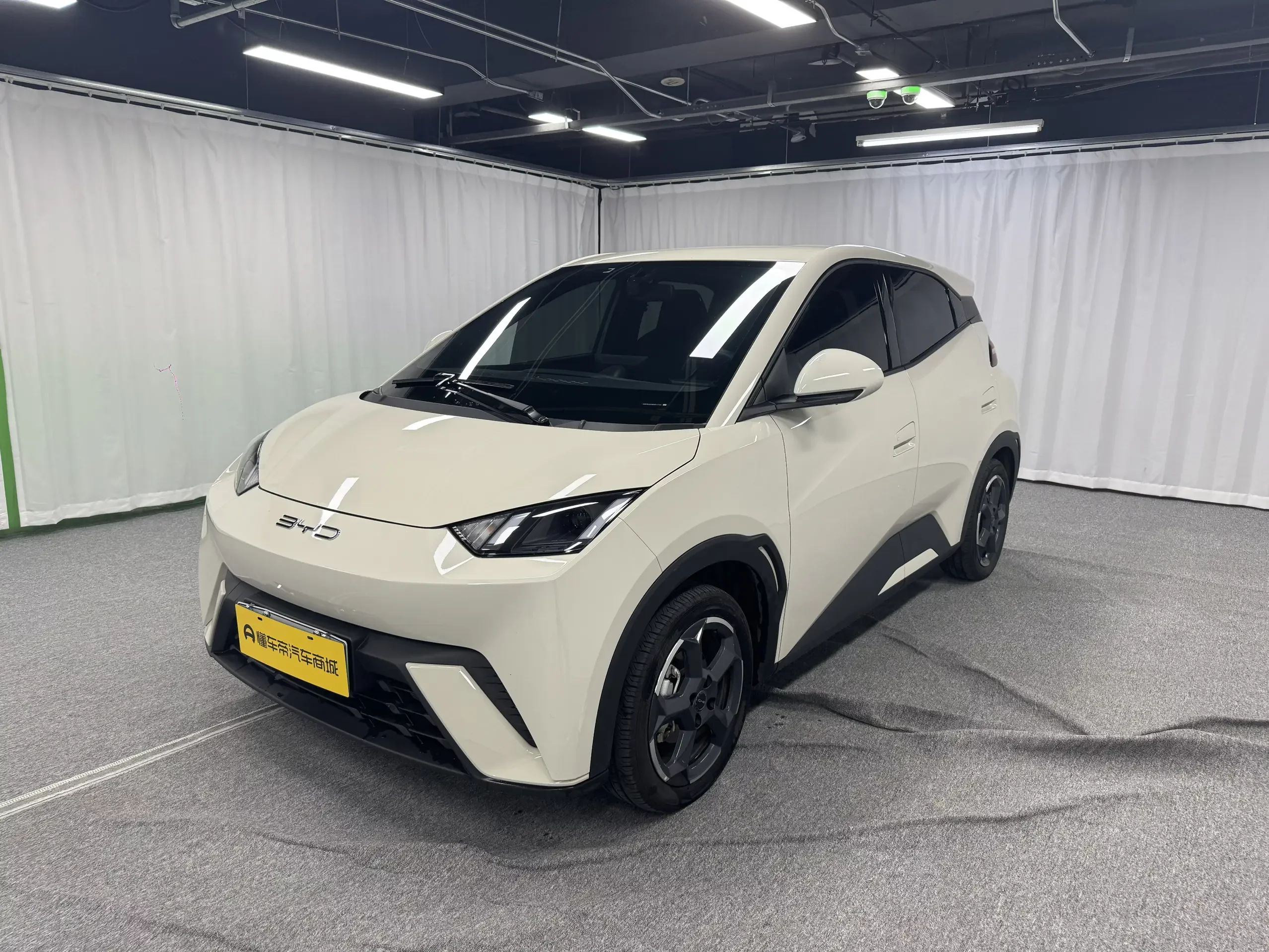 BYD seagull