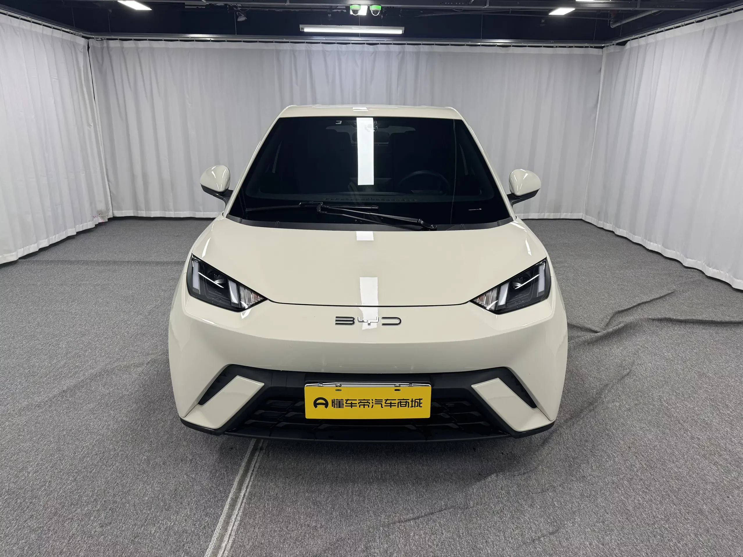 BYD seagull