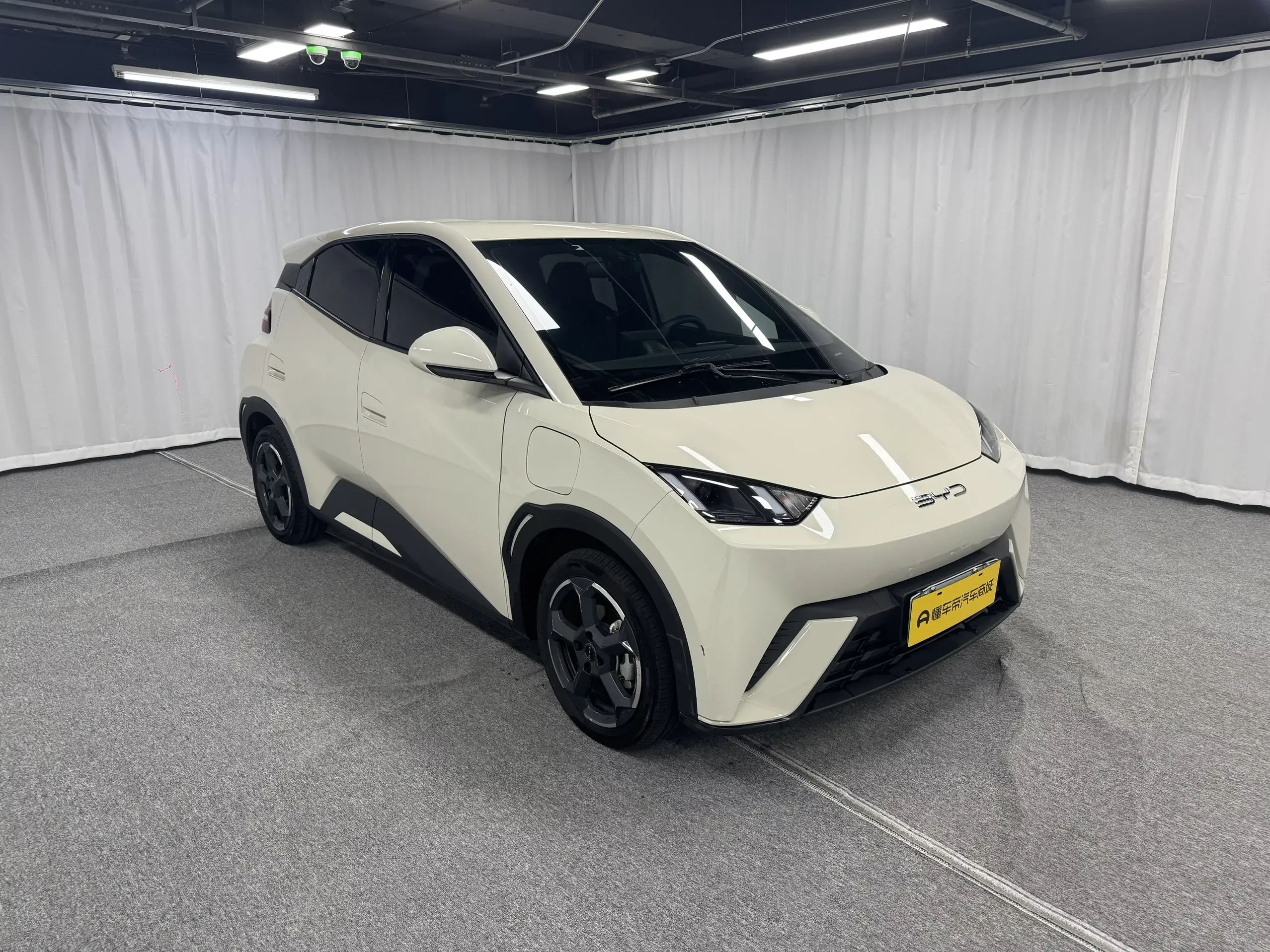 BYD seagull