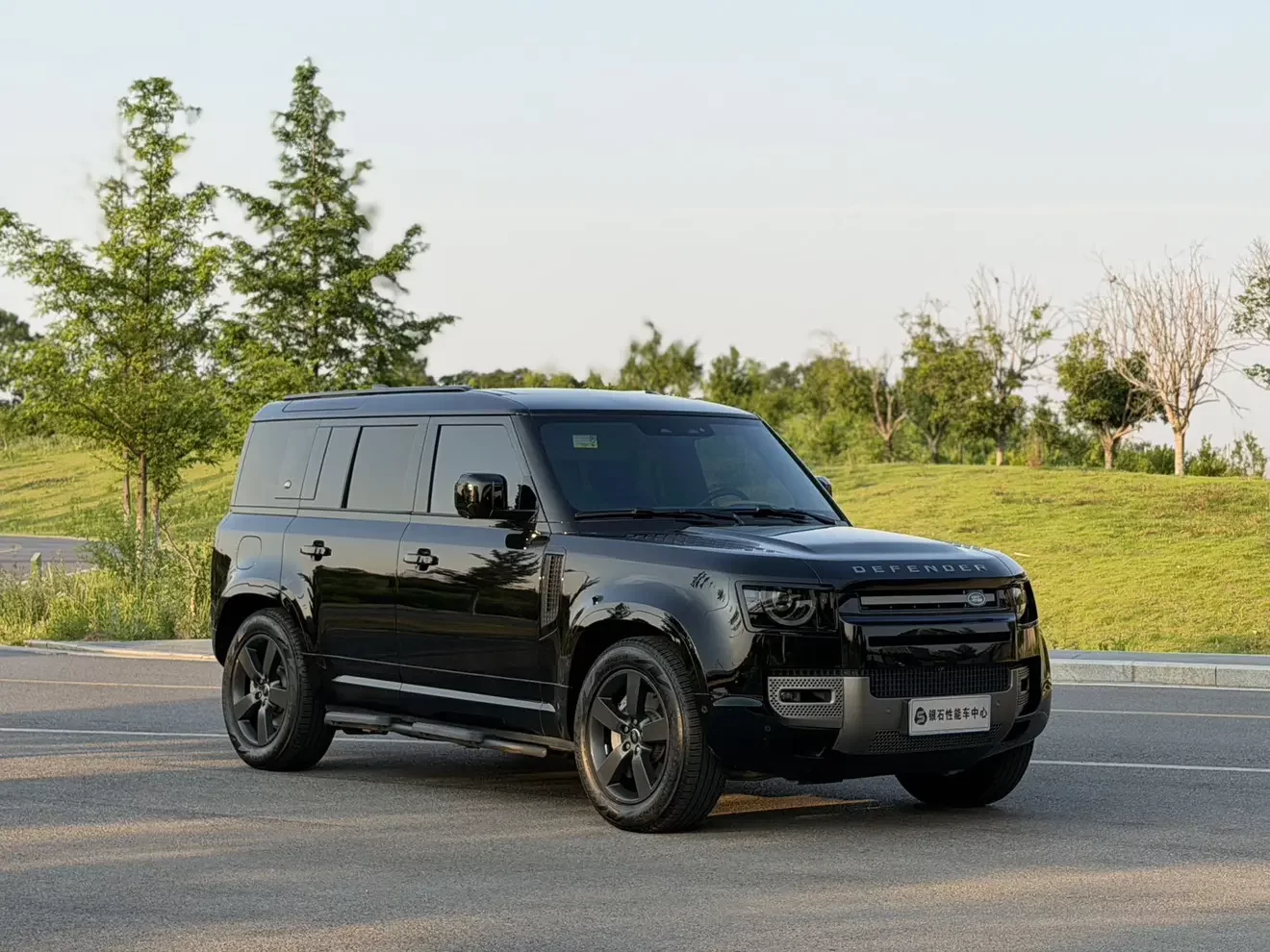 Land Rover guard