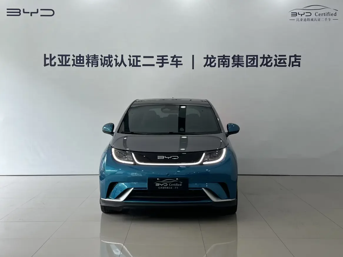 BYD dolphin