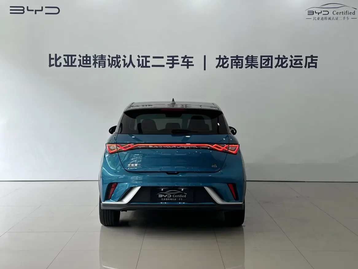 BYD dolphin