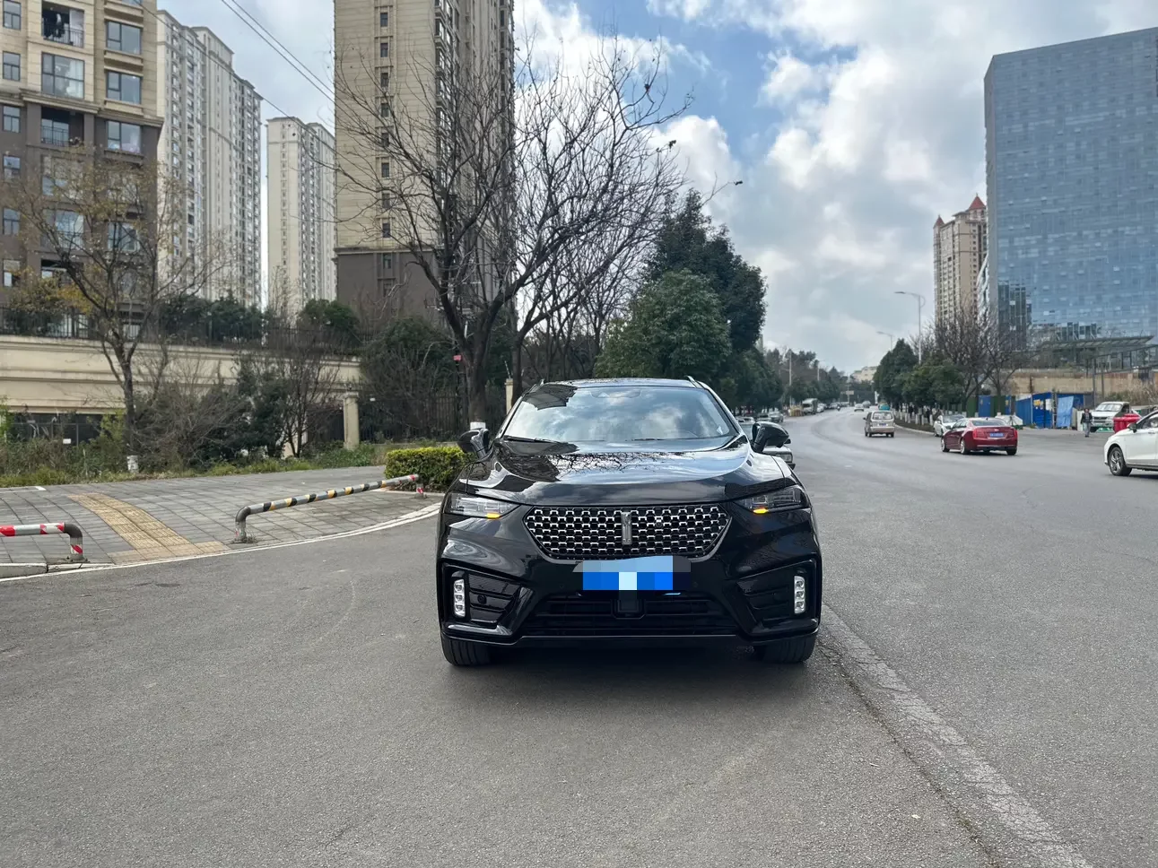 Wey Wei brand VV7