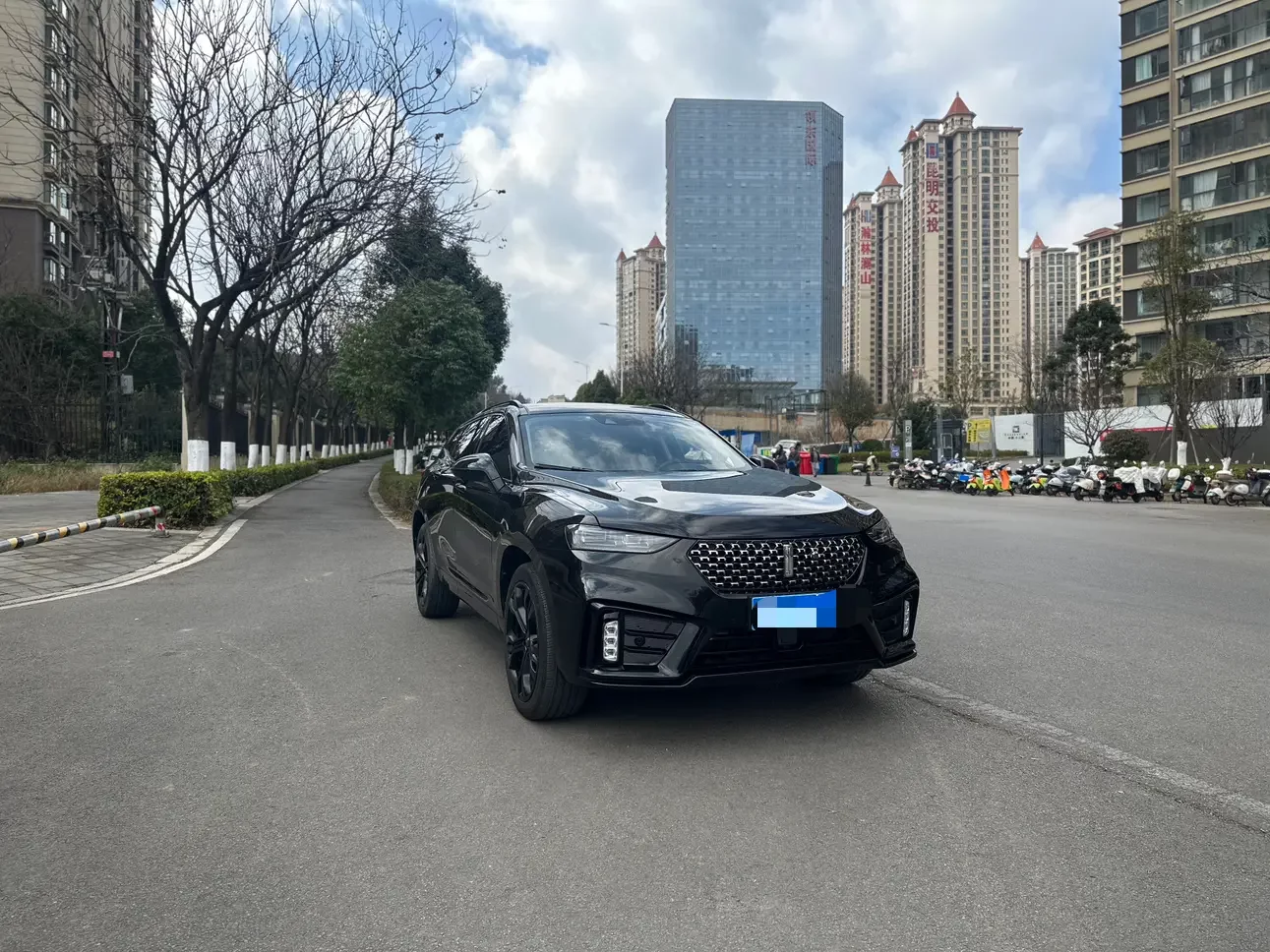 Wey Wei brand VV7