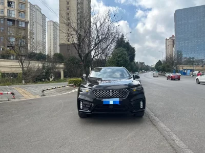 Wey Wei brand VV7