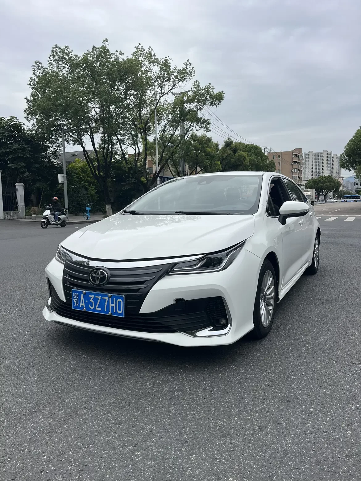 Toyota Asiatic lion