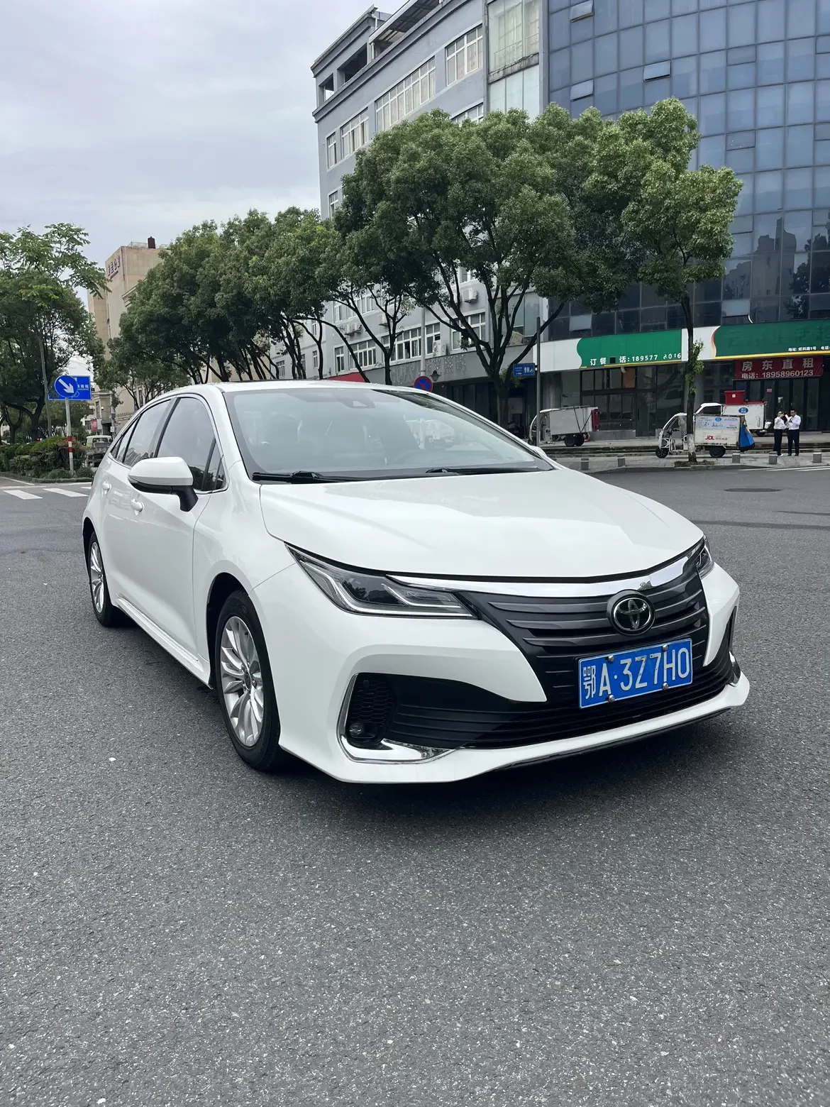 Toyota Asiatic lion
