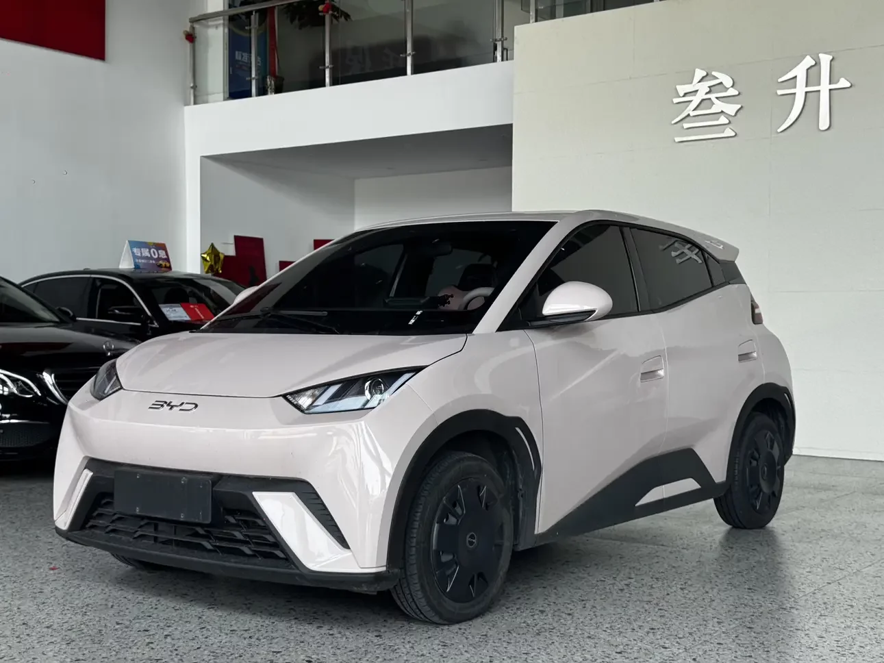 BYD seagull