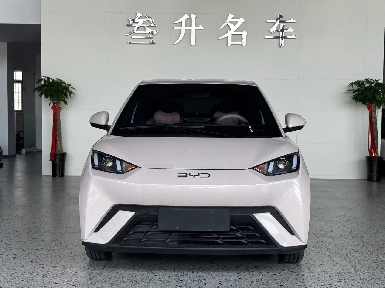 BYD seagull