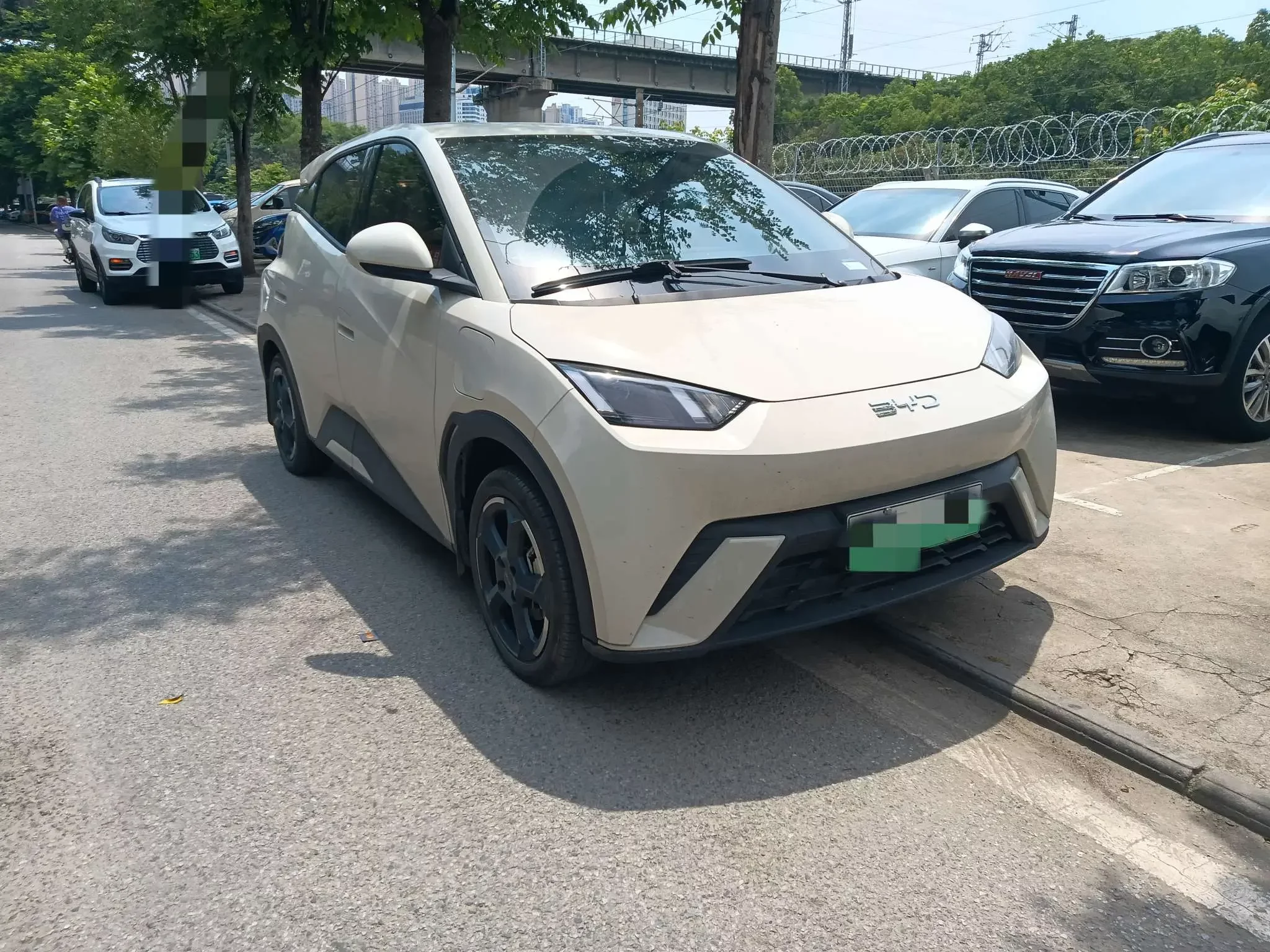 BYD seagull