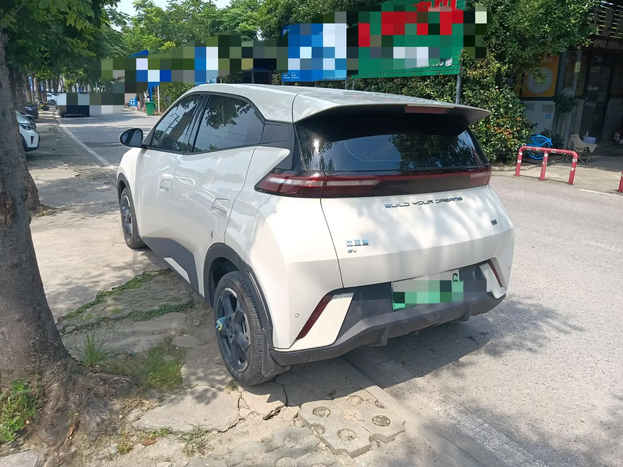 BYD seagull
