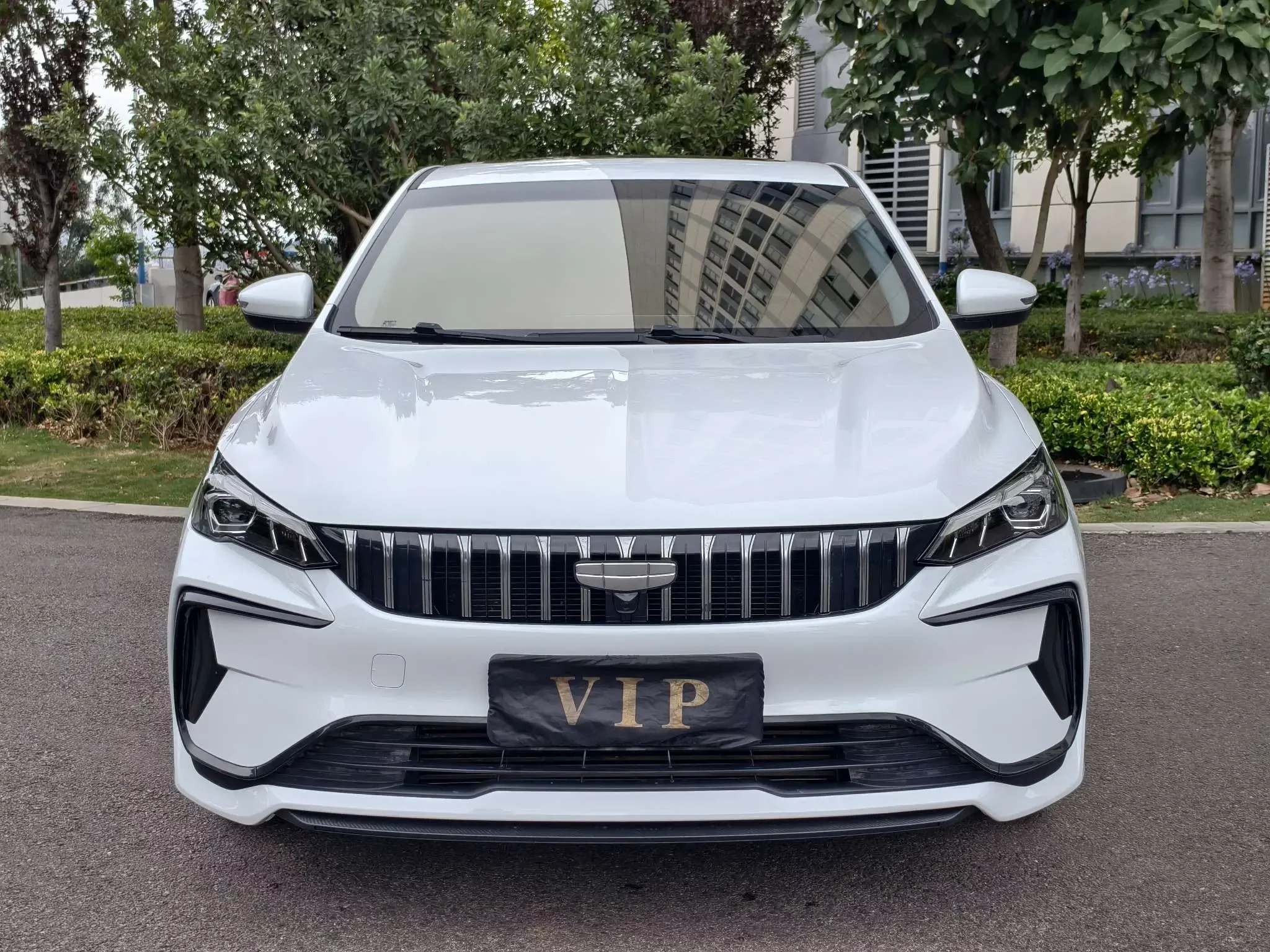 Geely Binrui