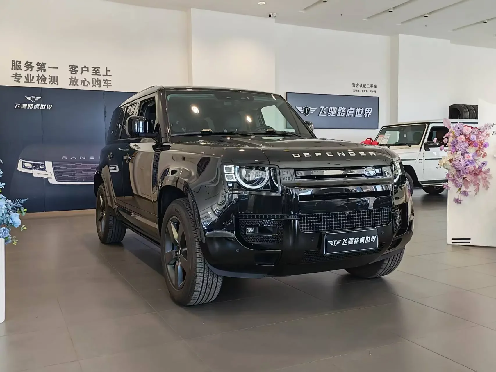 Land Rover guard