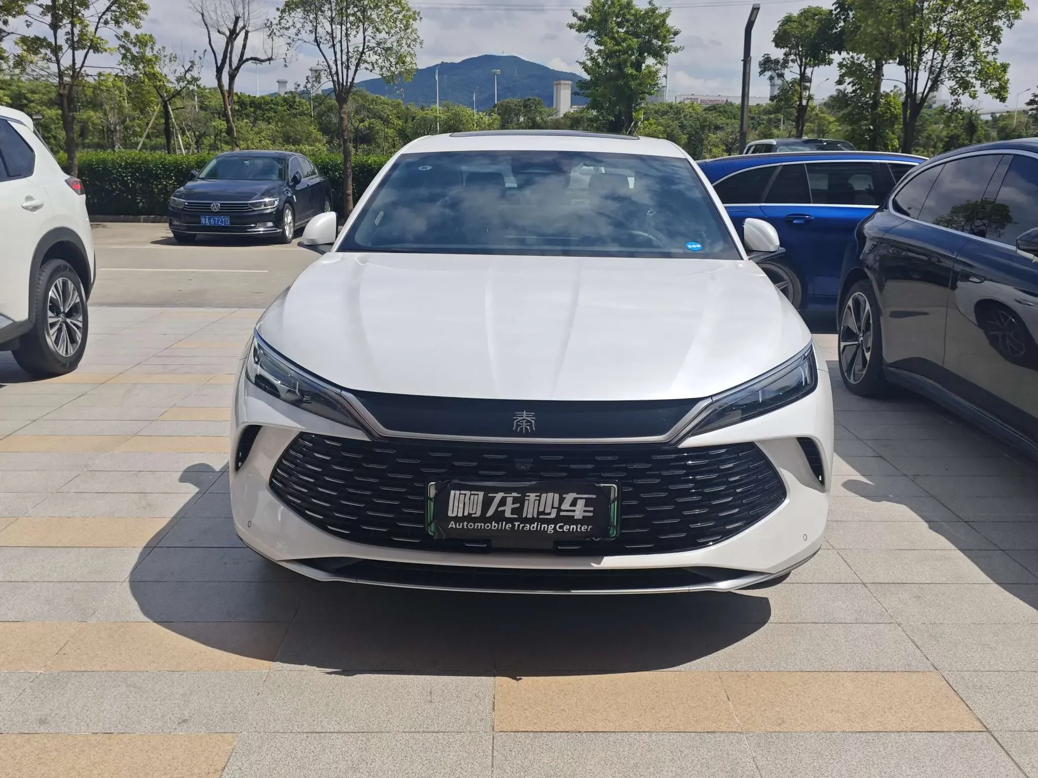 BYD Qin L DM