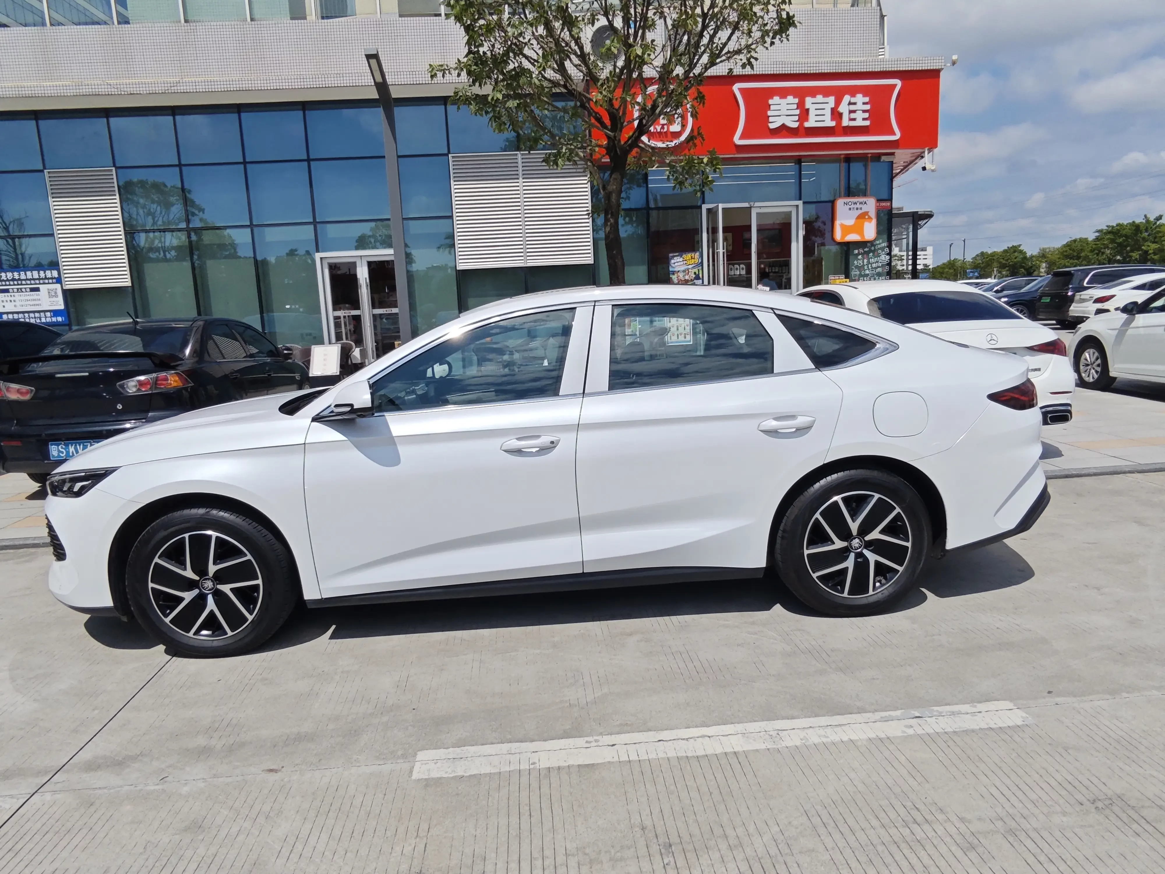 BYD Qin L DM