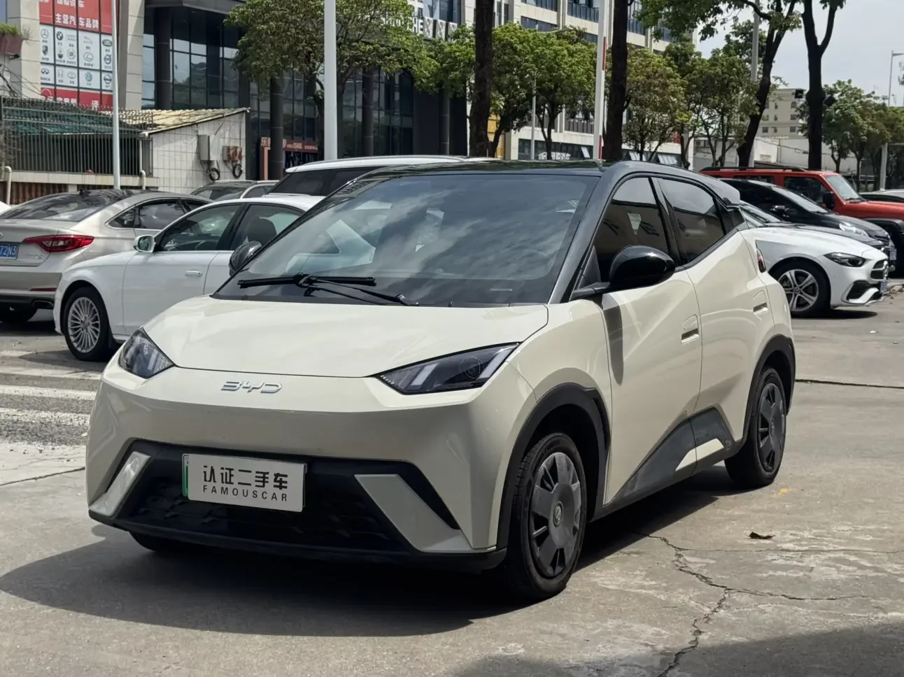 BYD seagull