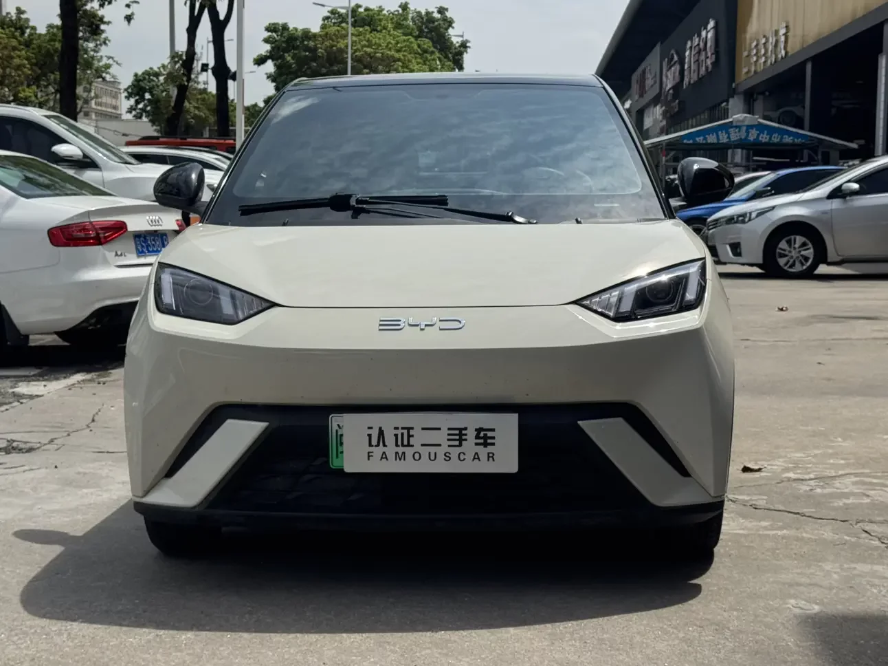 BYD seagull