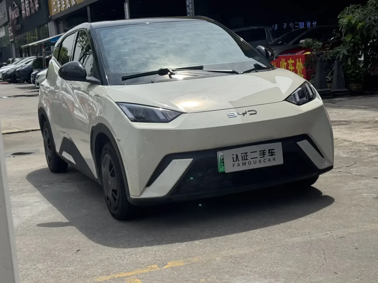 BYD seagull