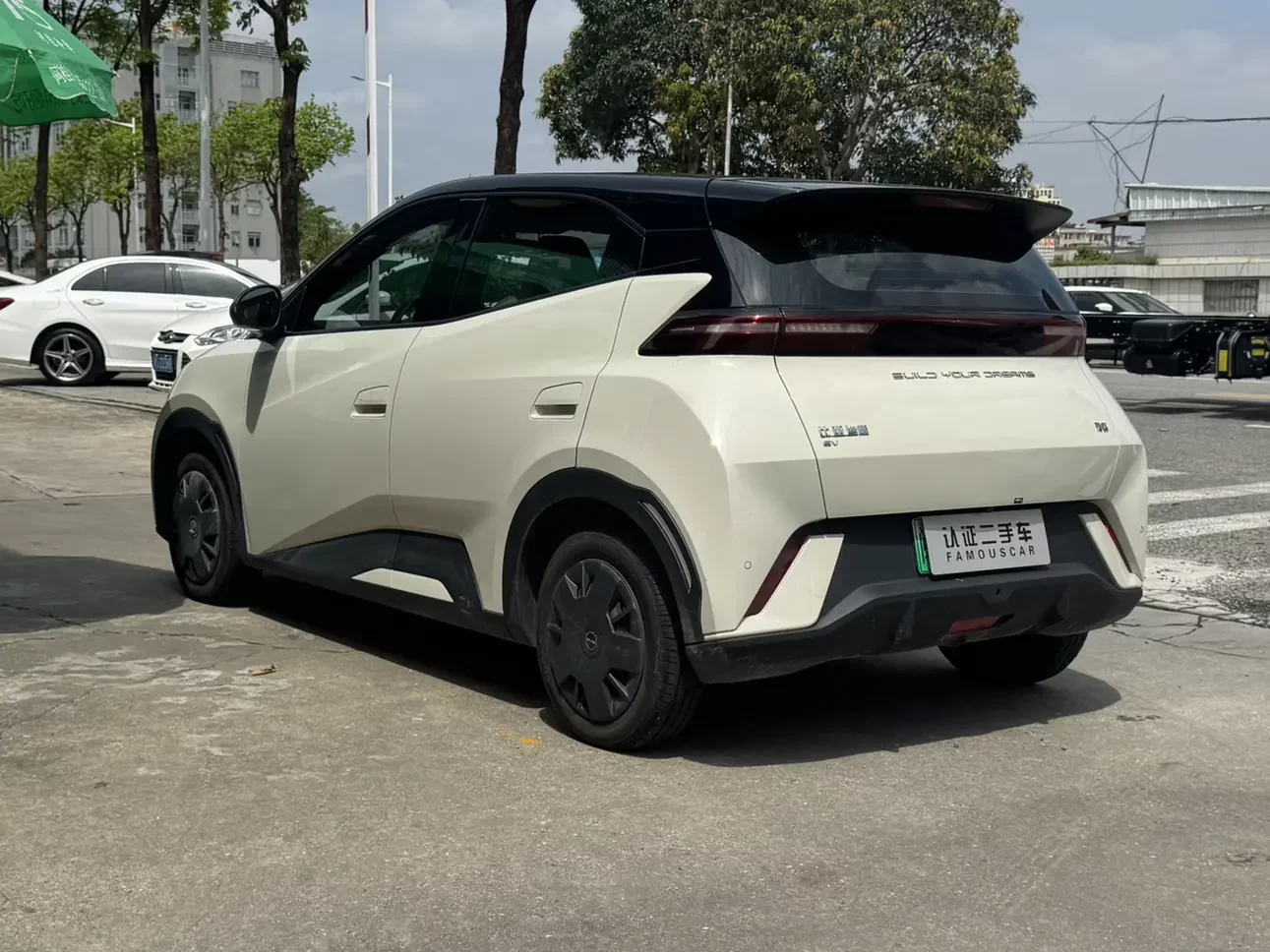 BYD seagull