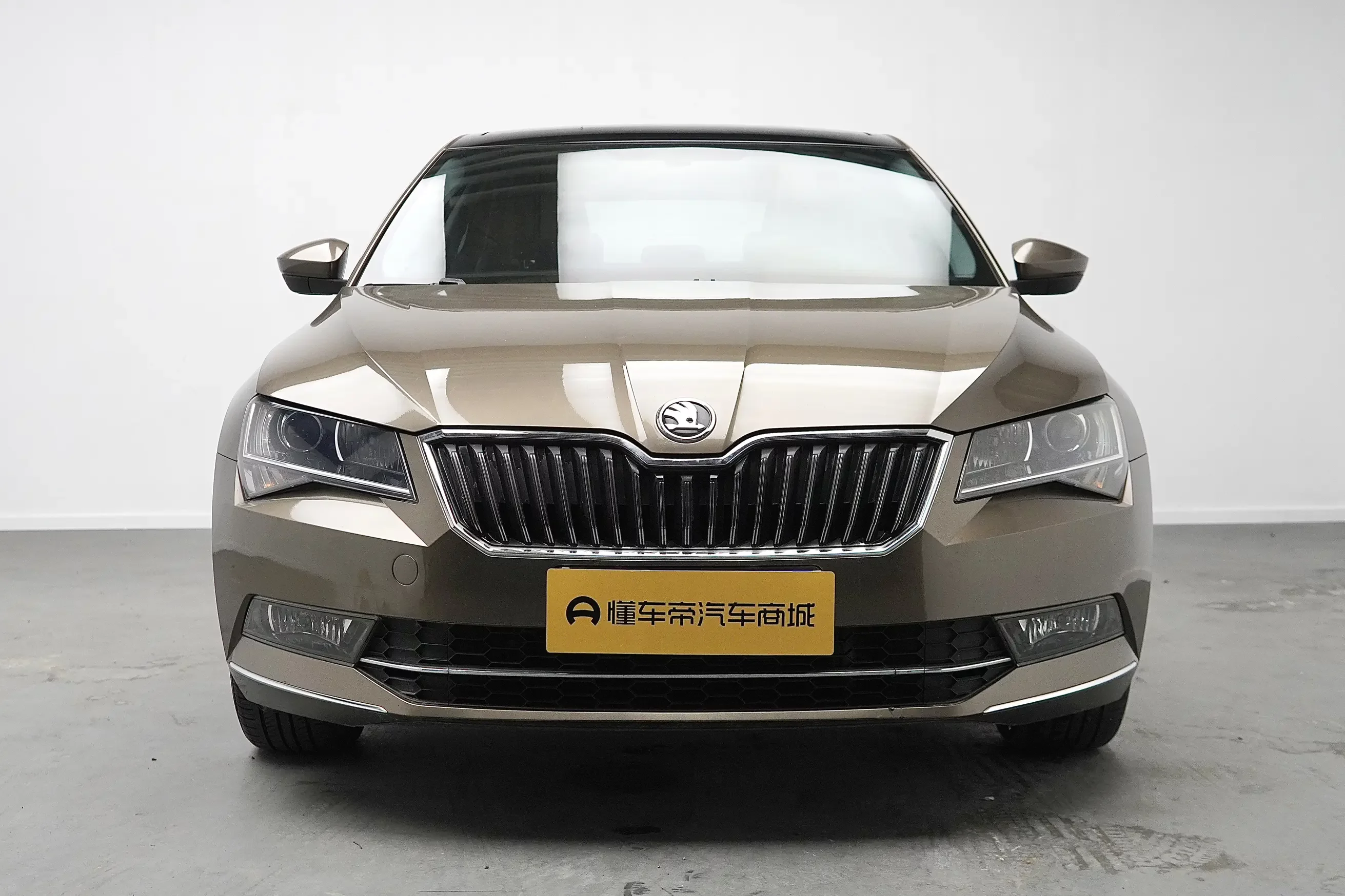 Skoda Speedy
