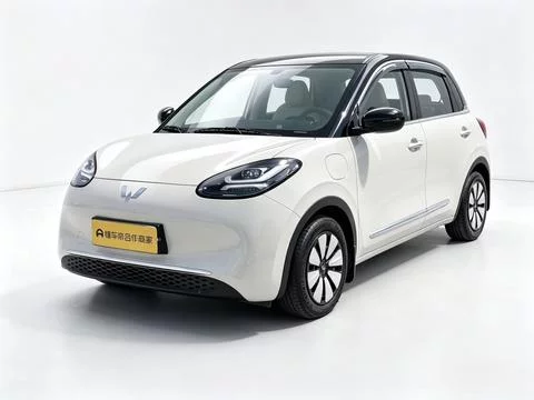 Wuling Bingo