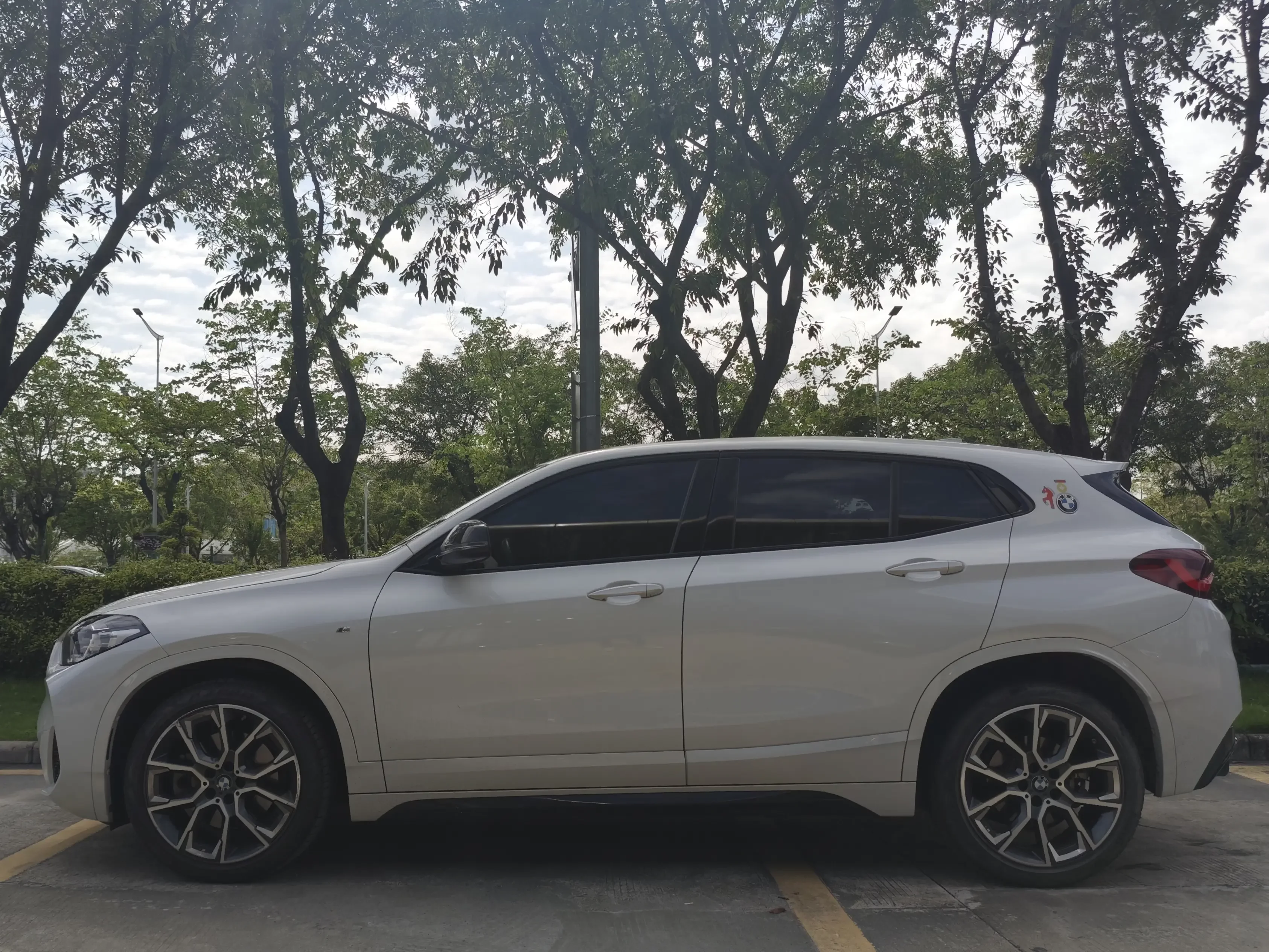 BMW X2