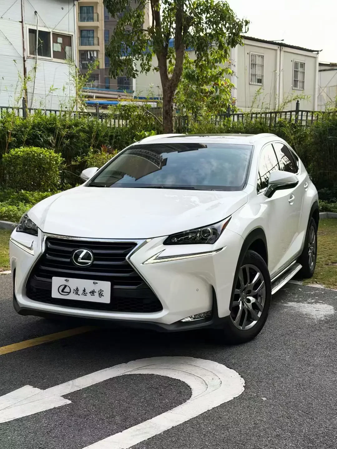 Lexus NX