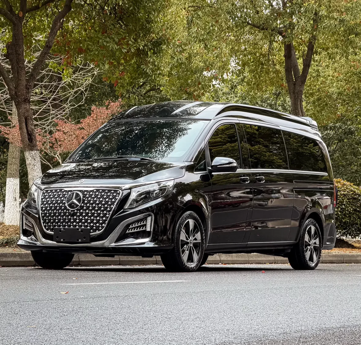 Mercedes-Benz V Class