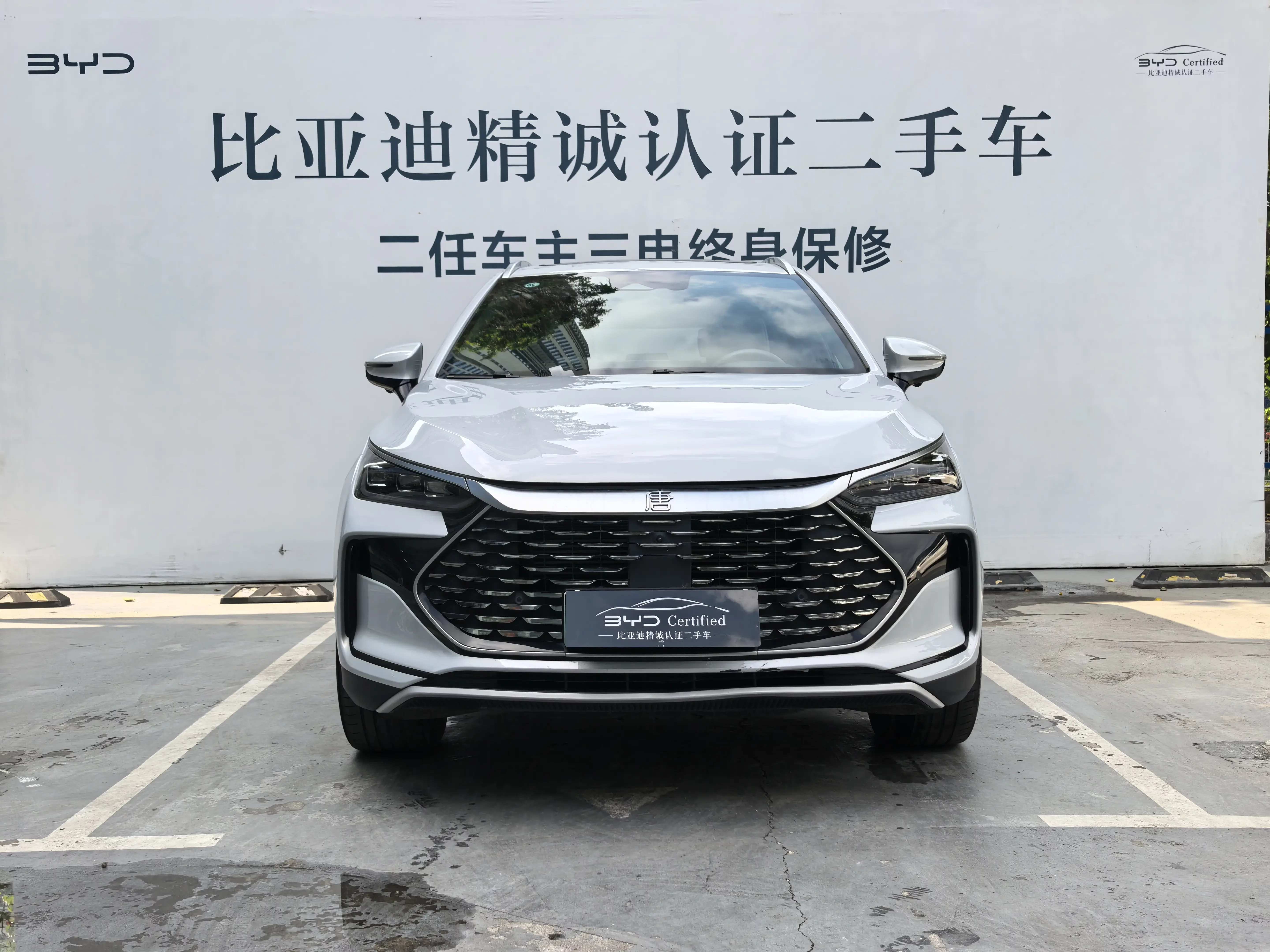 BYD Tang DM