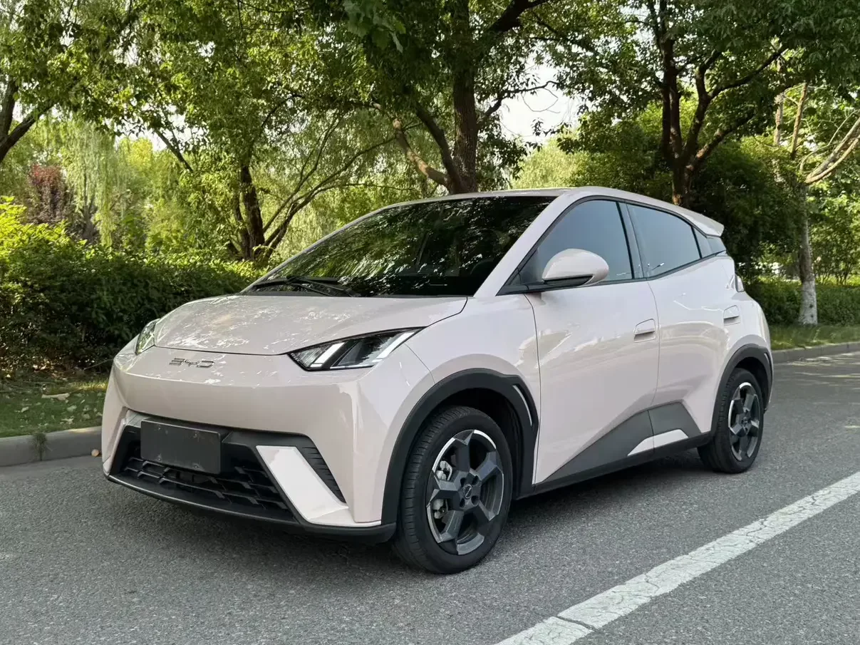 BYD seagull