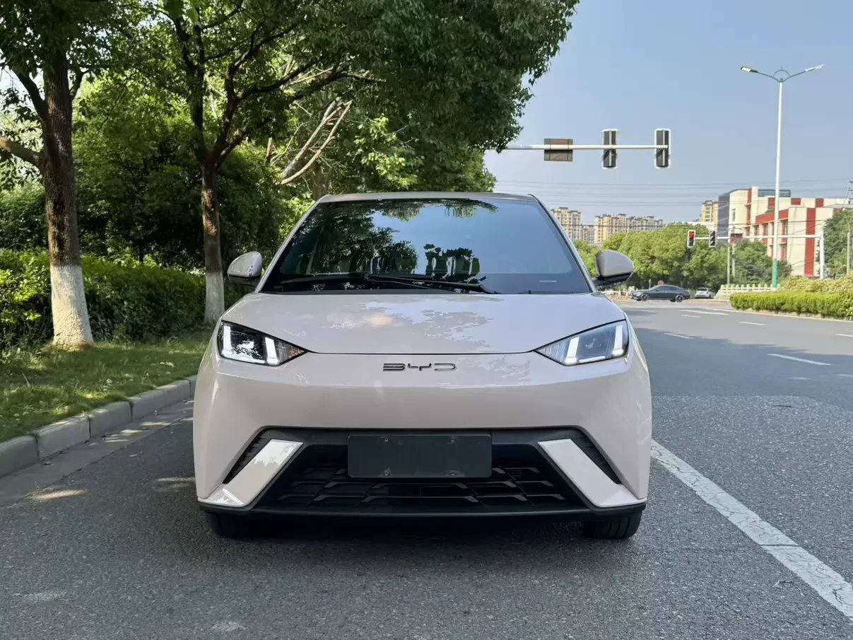 BYD seagull