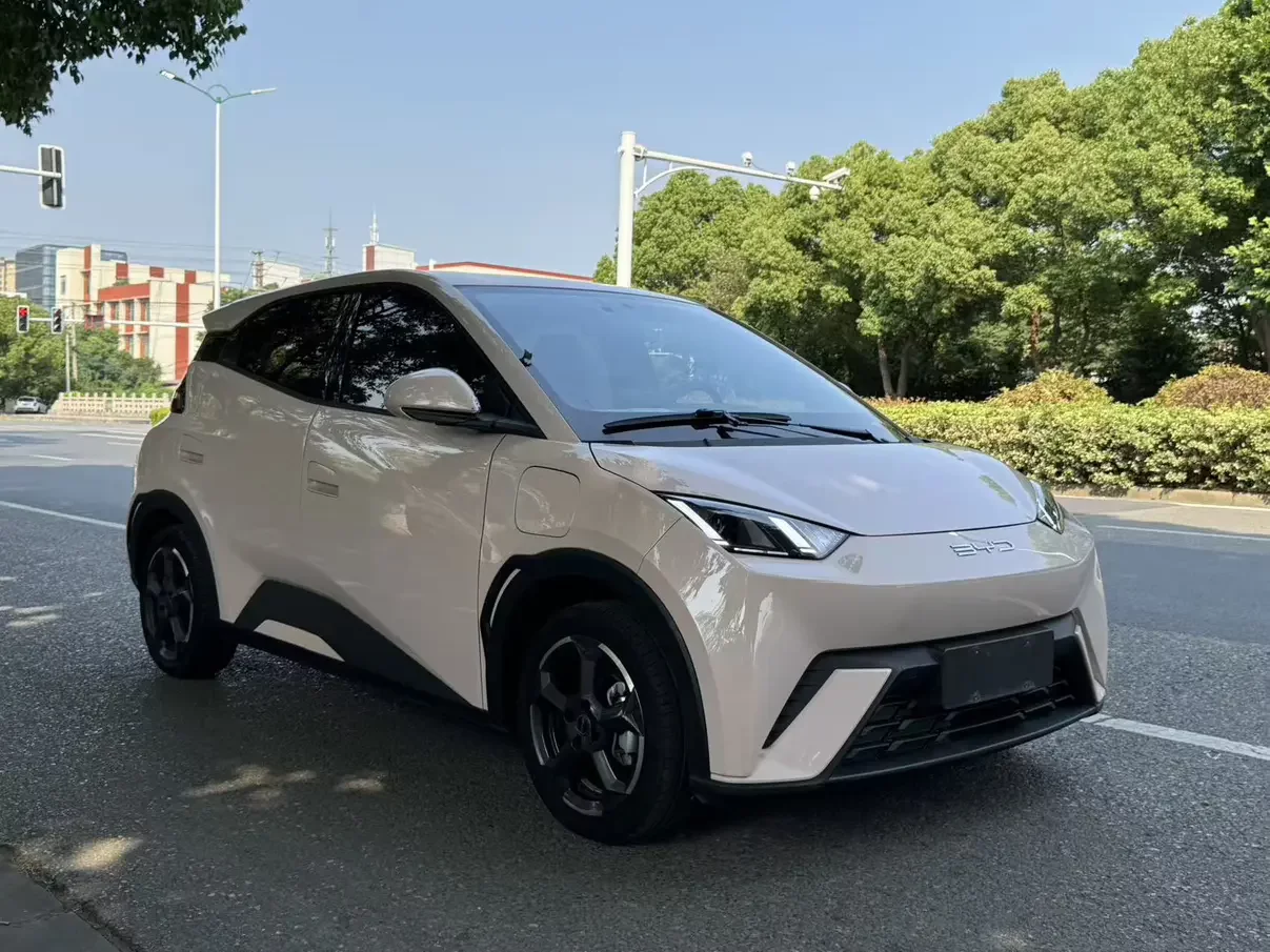BYD seagull