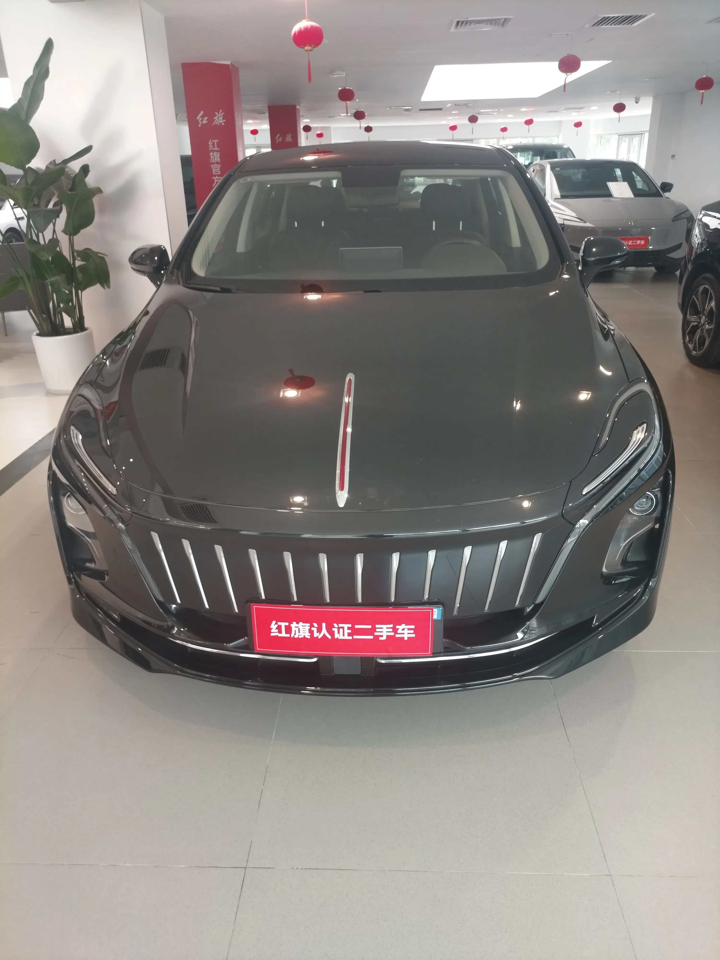 Hongqi E-QM5