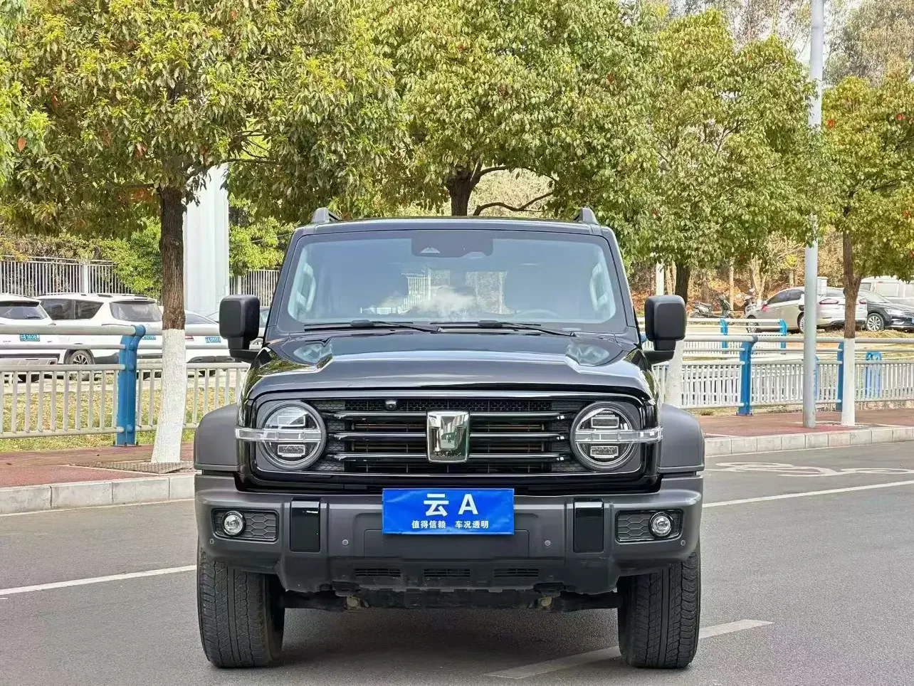Tank 300