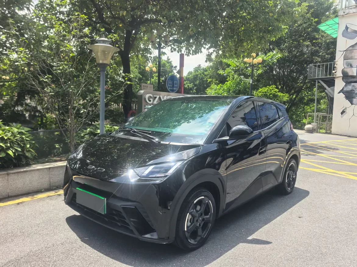 BYD seagull