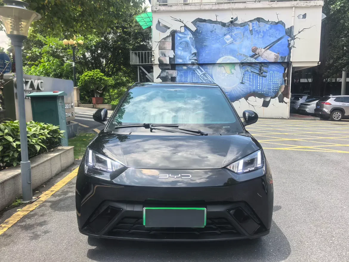 BYD seagull